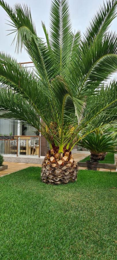 Villa Avdira Paralia Avdhiron Esterno foto